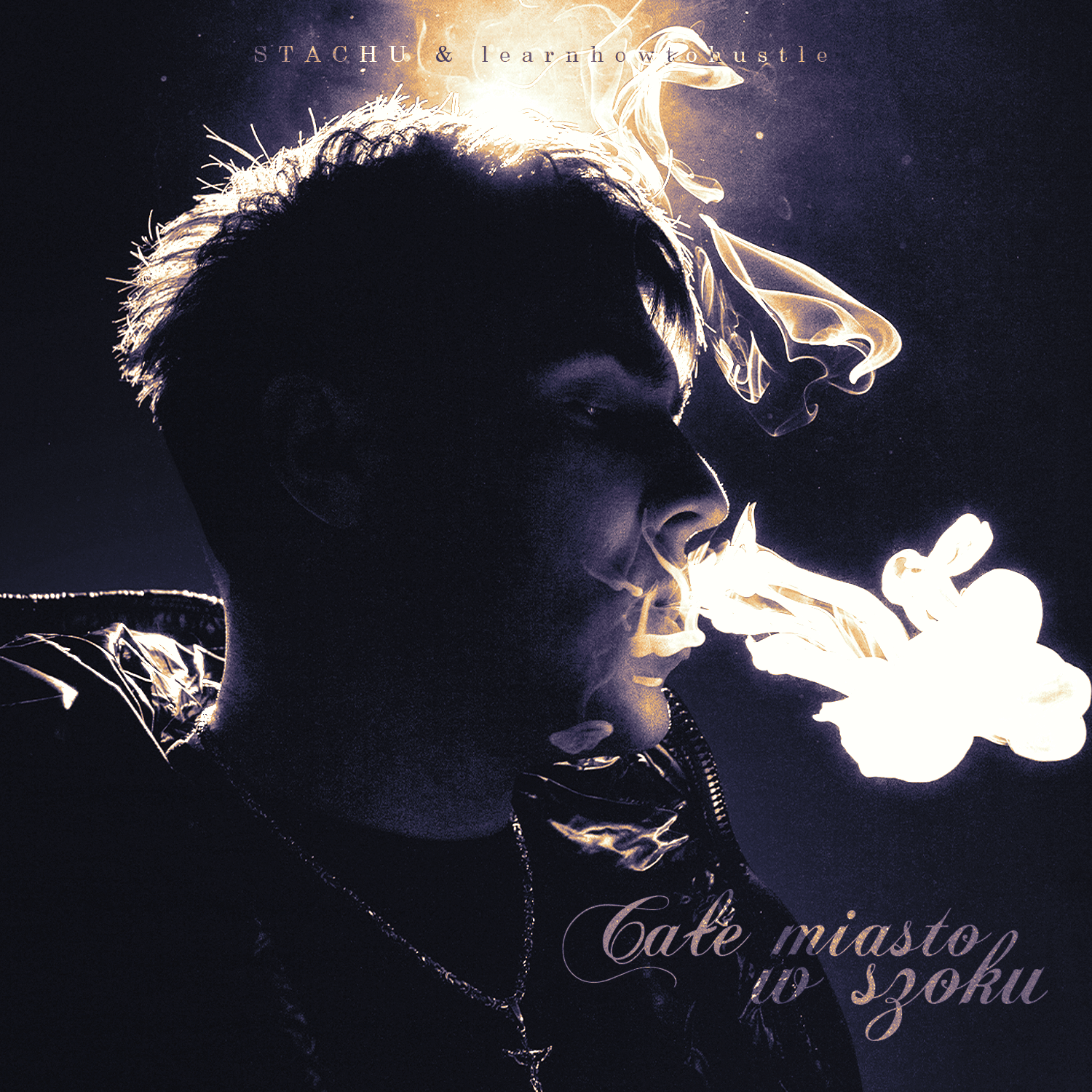 CAŁE MIASTO W SZOKU PŁYTA CD